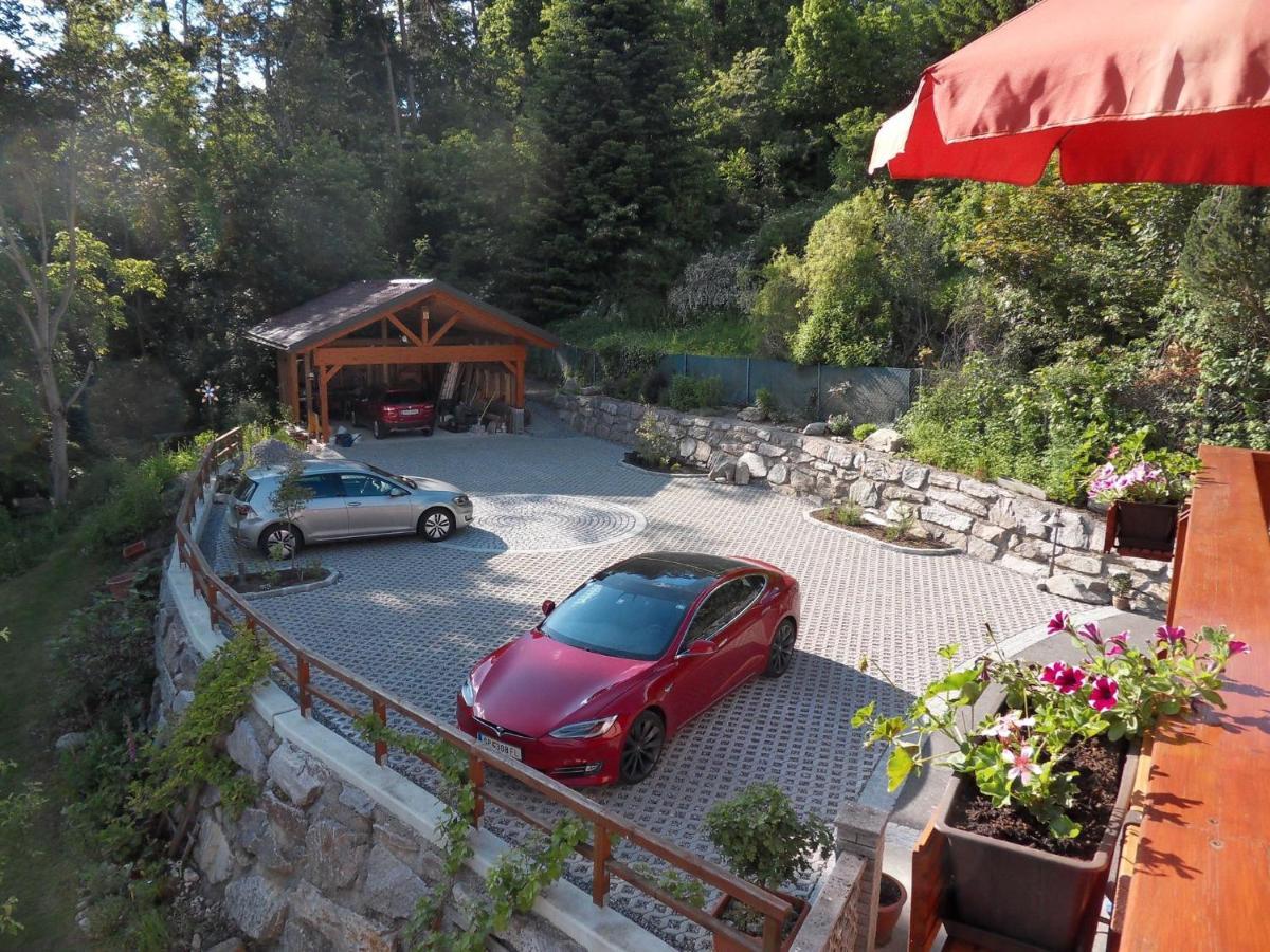 Fewo In Der Weinleiten Millstatt Buitenkant foto